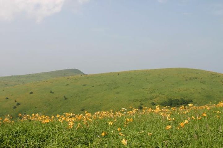 霧ヶ峰高原