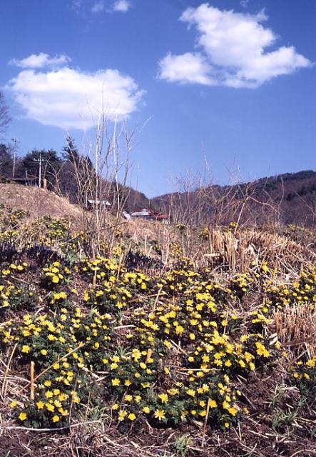 スポットの写真