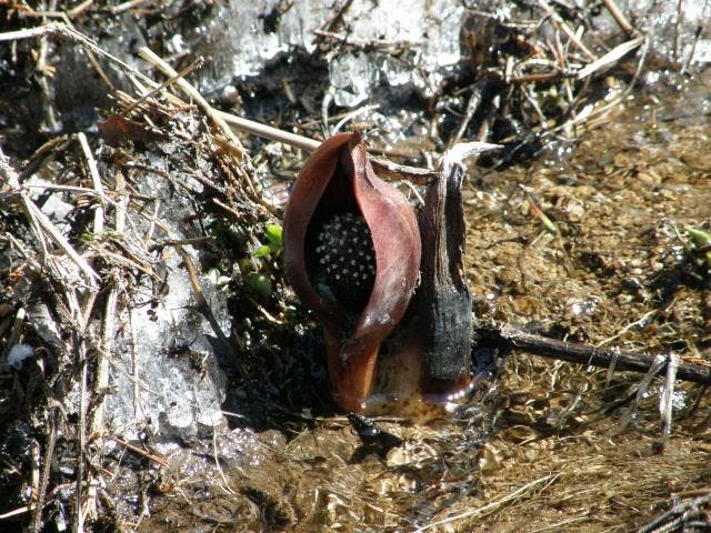 スポットの写真