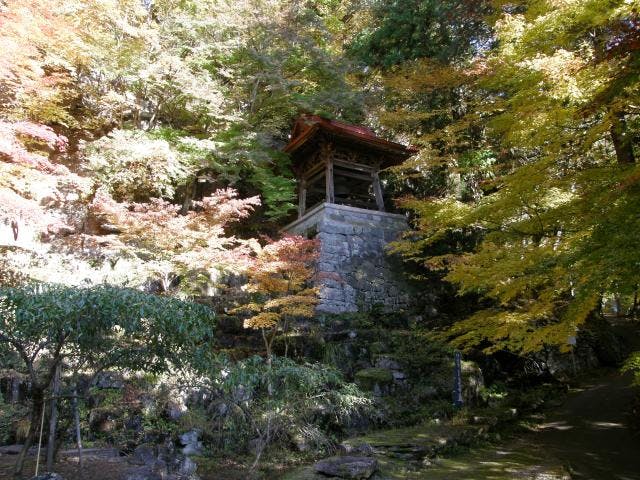 阿弥陀寺と唐沢山の紅葉