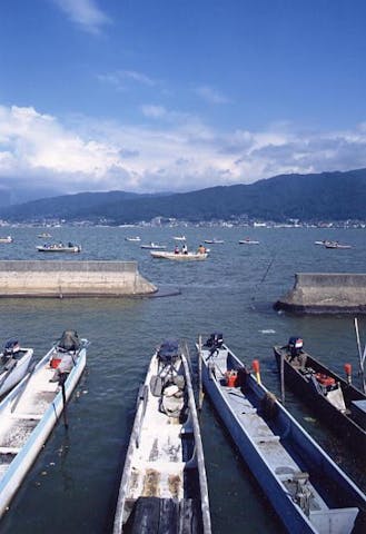 諏訪湖のわかさぎ釣り