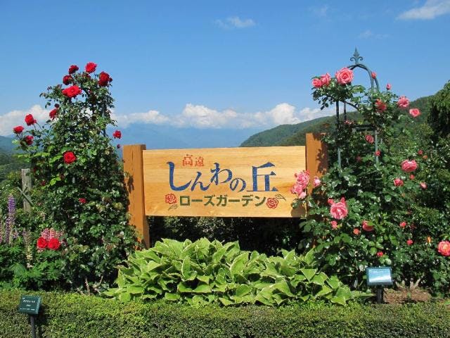 高遠「しんわの丘ローズガーデン」