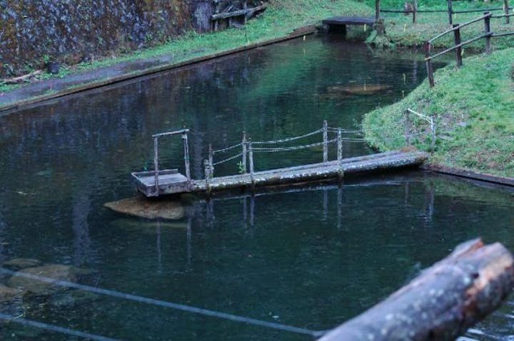 小黒川渓谷キャンプ場釣り堀
