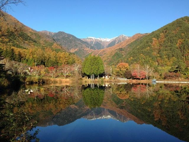 駒ヶ根高原・駒ヶ池の紅葉