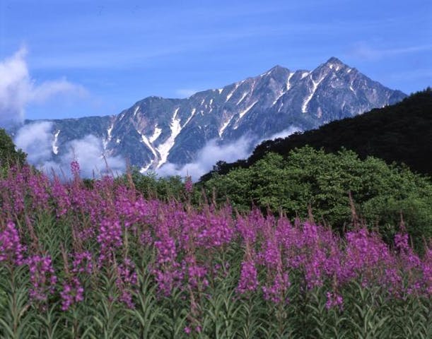 鹿島槍黒沢高原