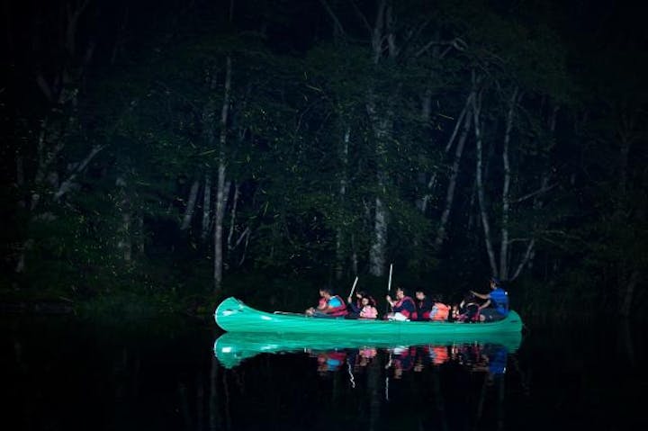 青木湖のホタル