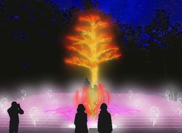 スポットの写真