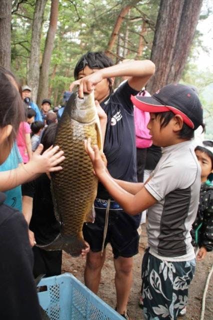 スポットの写真