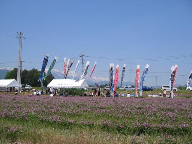 ときわれんげ祭