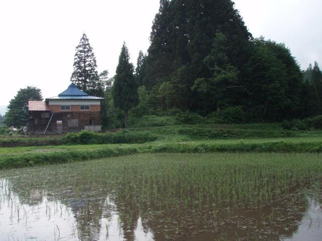 なべくら高原の蛍