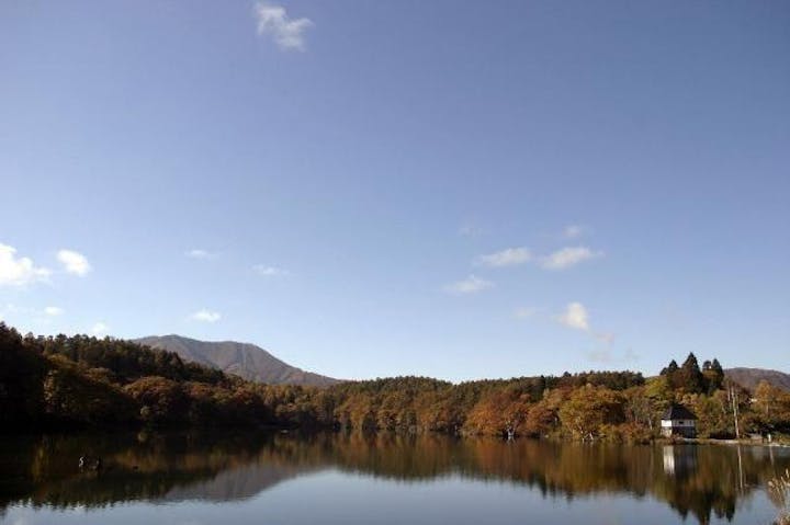 斑尾高原の紅葉