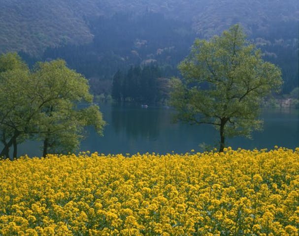 北竜湖のボート