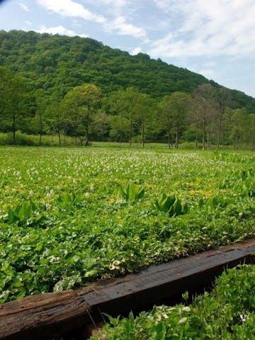 斑尾高原トレッキングトレイル