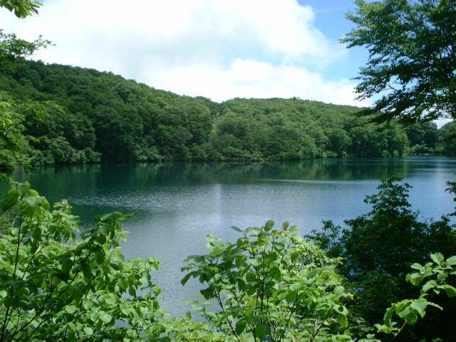 関田峠森林浴歩道