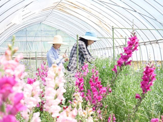 「食べられる花束」サラダブーケ作り体験