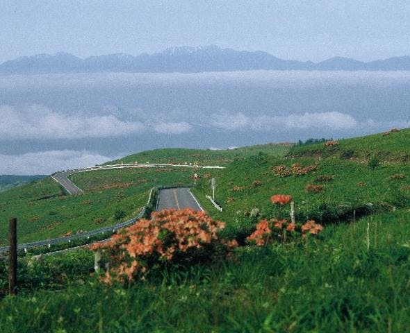 【2020年中止】車山高原夏山開山祭