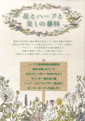 花とハーブと美しの蓼科