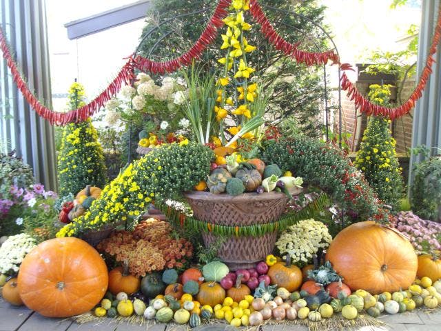 蓼科バラクラ収穫祭　ハーベストフェスティバル