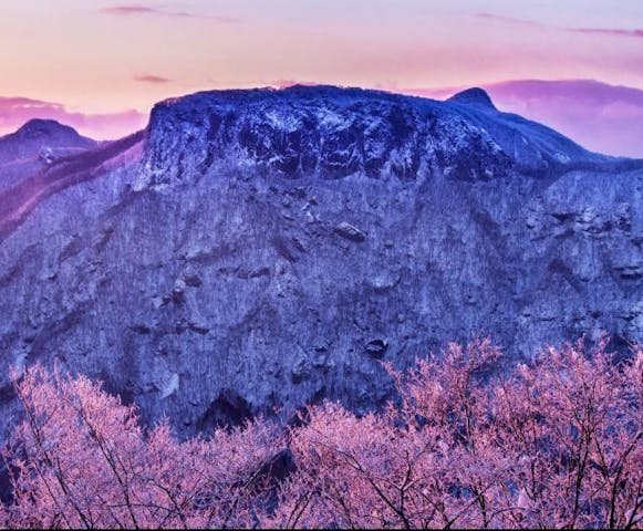 佐久高原内山牧場・荒船山