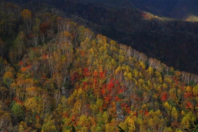 スポットの写真