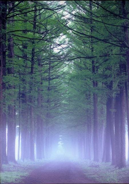 スポットの写真