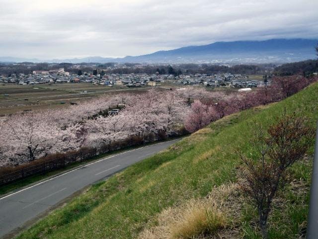 スポットの写真