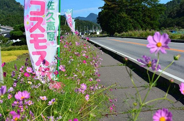 スポットの写真