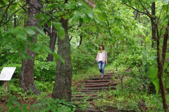 森林セラピー基地・平尾の森