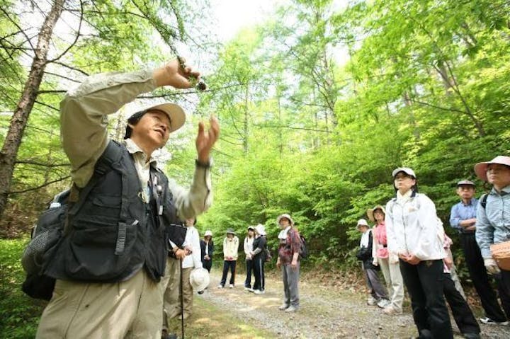 森林セラピー基地・春日の森