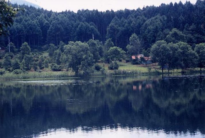 大池キャンプ場