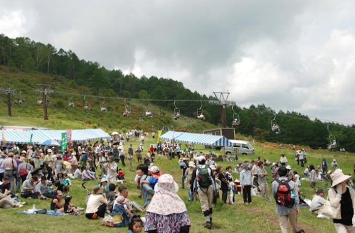 年中止 湯の丸高原つつじ祭 イベント開催 アソビュー