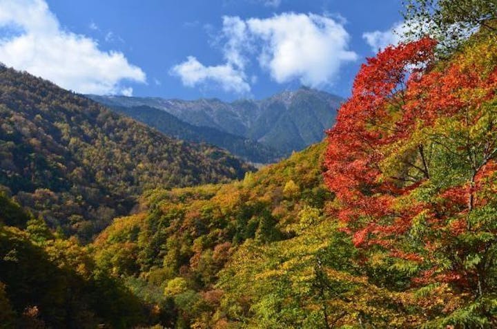 一の沢林道の紅葉