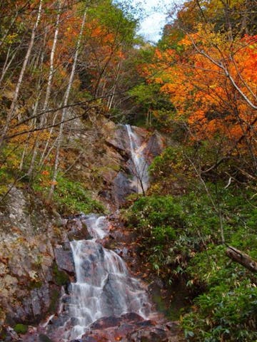 樽沢の滝