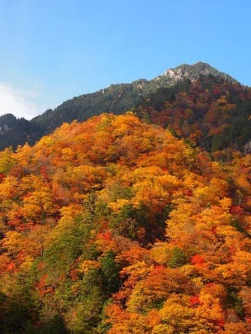 中房渓谷の紅葉