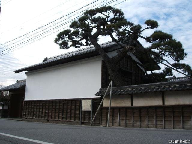 スポットの写真