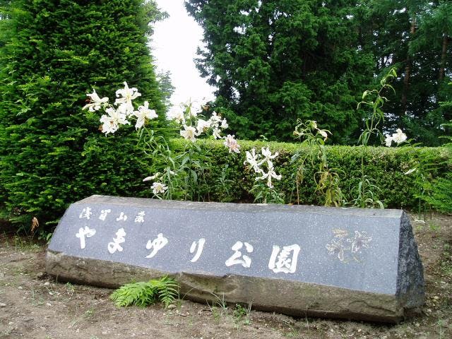 スポットの写真