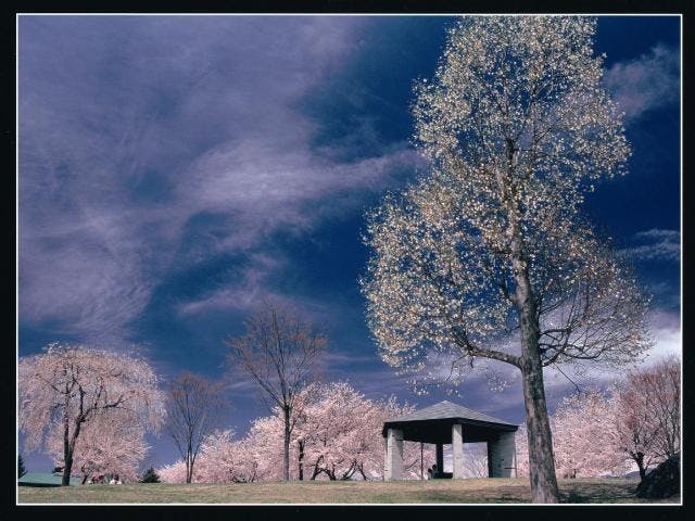 スポットの写真