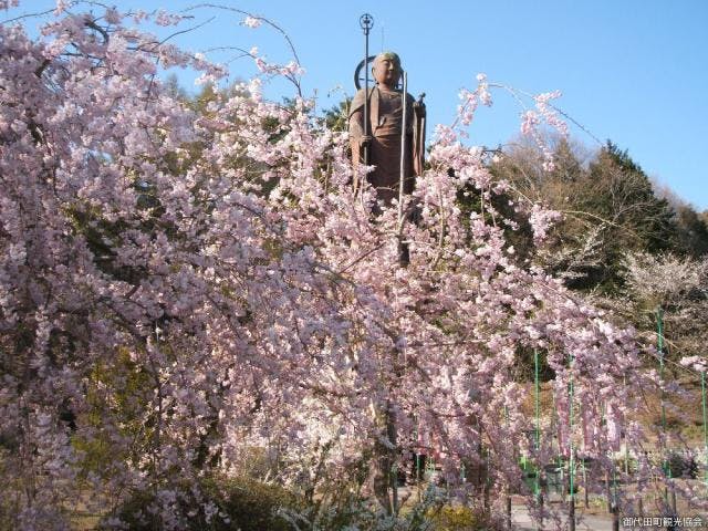 スポットの写真