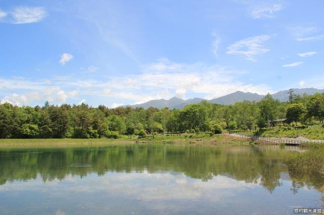 まるやち湖と八ヶ岳