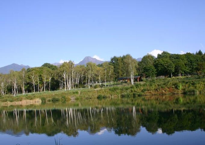 八ヶ岳中央高原