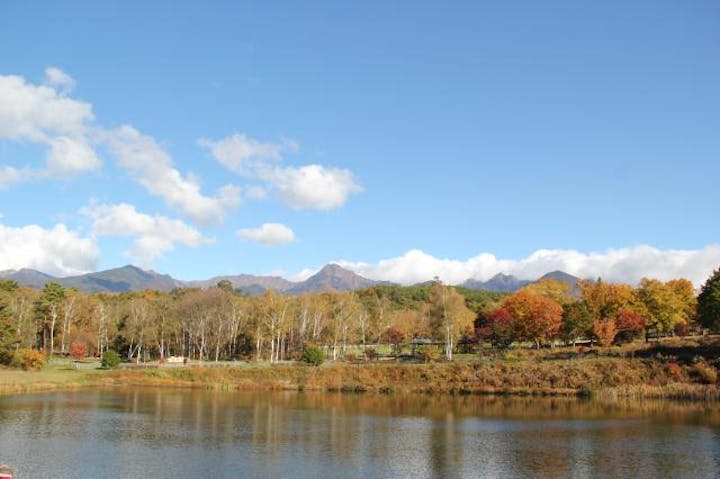八ヶ岳中央高原の紅葉