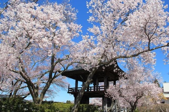 スポットの写真