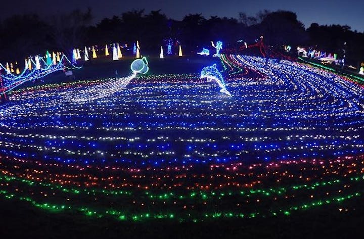 【2020年中止】信州大芝高原イルミネーションフェスティバル