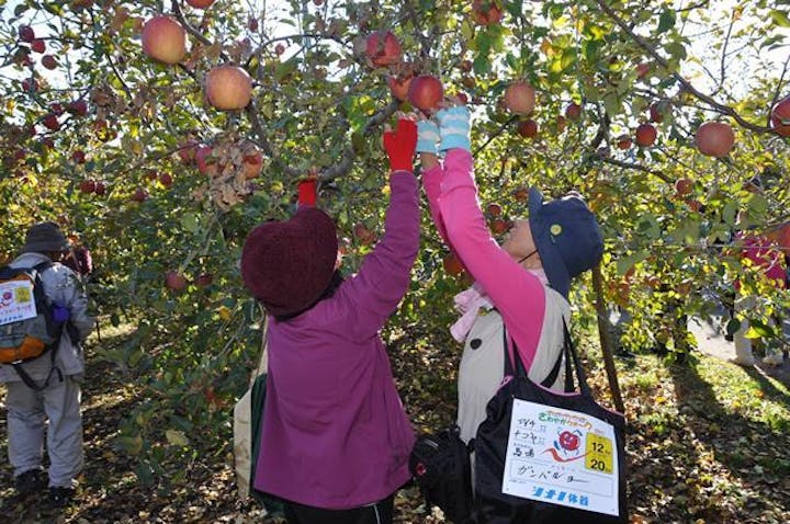 【2021年中止】中川アルプス展望さわやかウォーク