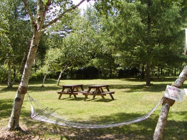 桑原オートキャンプ場