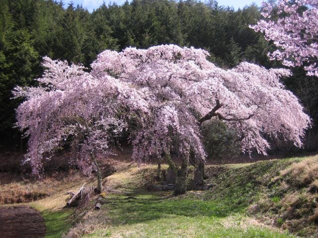 スポットの写真