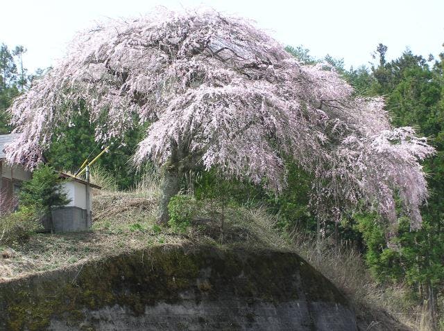 スポットの写真