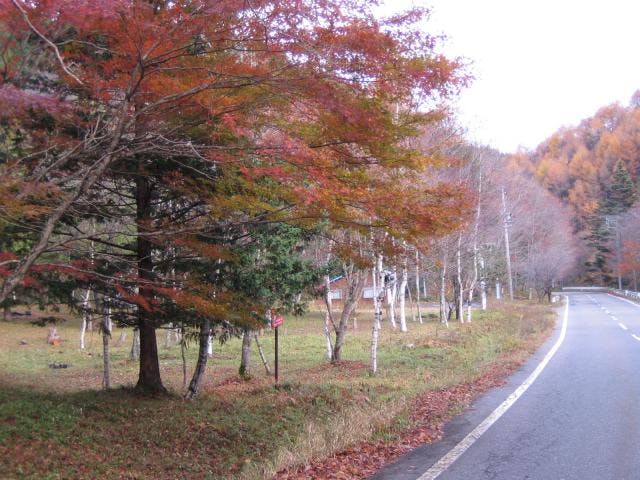 白樺高原キャンプ場