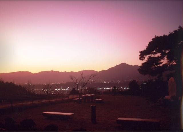 スポットの写真