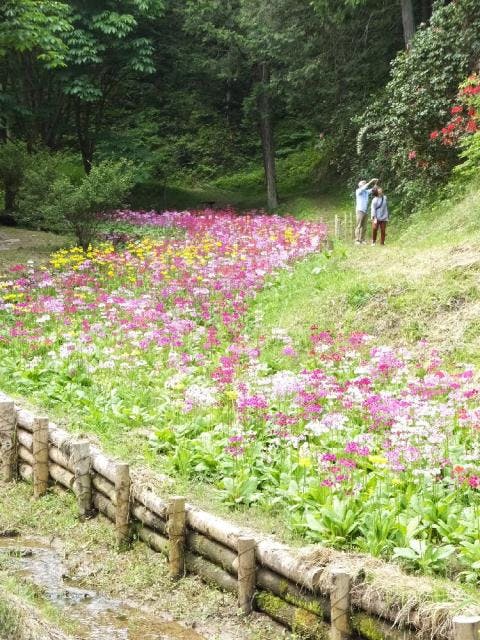 スポットの写真